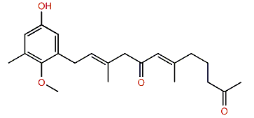 Cystomexicone B